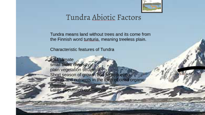 tundra abiotic factors