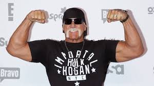 was hulk hogan racist